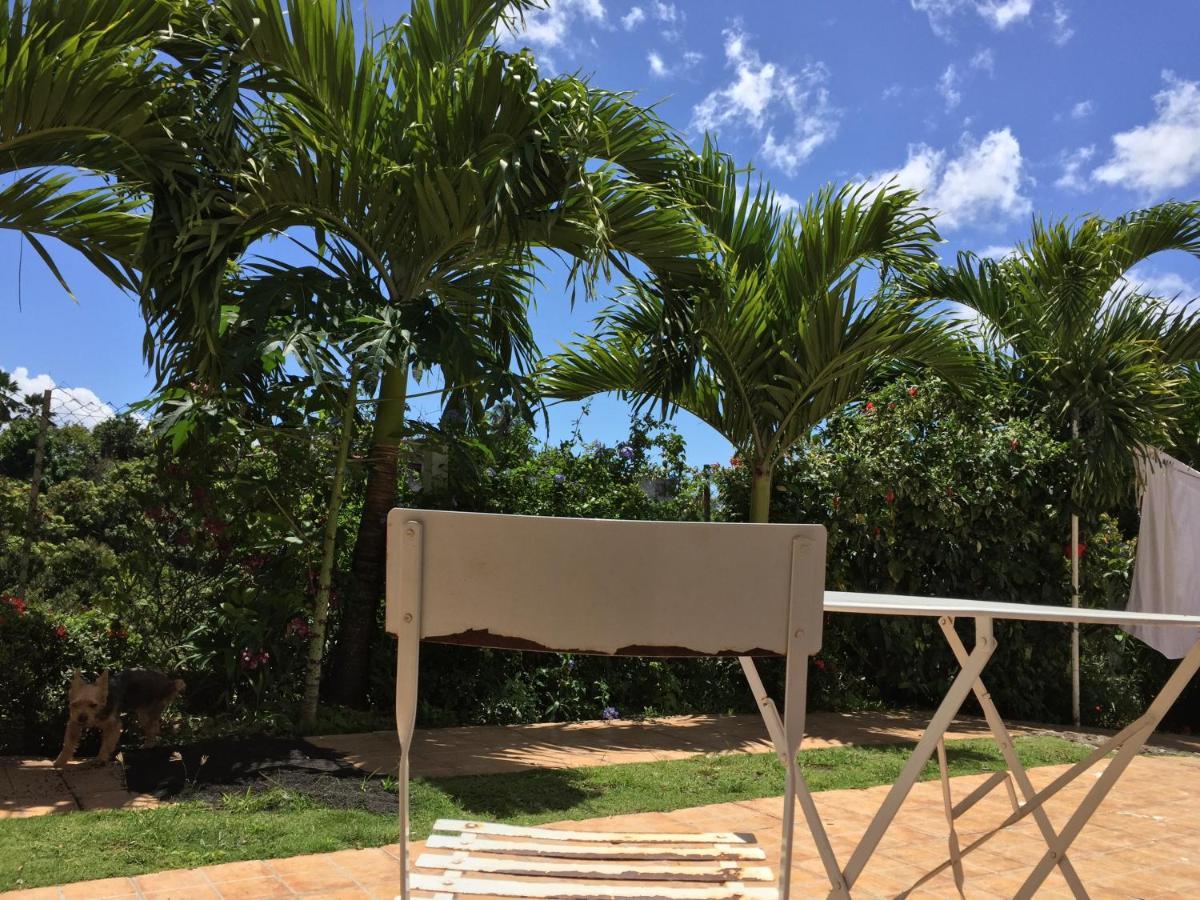 Villa Des Iles Basse-Terre Exterior photo